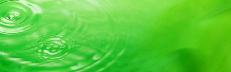 清新绿色水滴背景