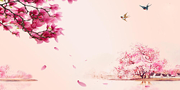 粉色桃花背景素材