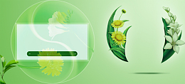 草本植物化妆品清新海报banner