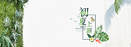 欧美风简约清新大女装海报banner