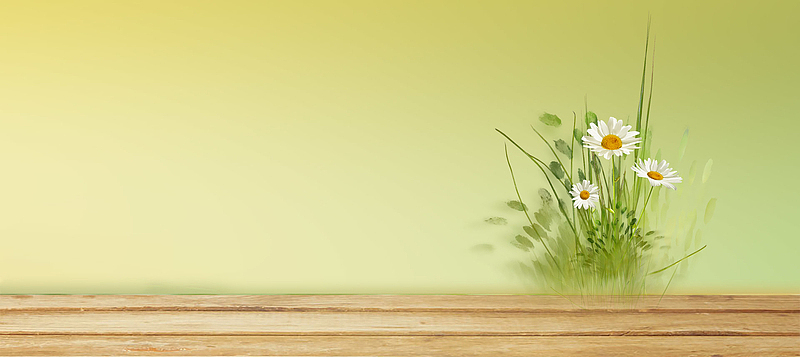 青草雏菊背景图psdjpg校园首页轮播banner大图psdjpg青春不散场banner