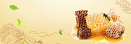 秋季滋补蜂蜜清新黄色banner