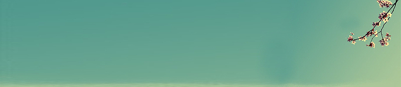 清淡桃花枝头唯美背景banner