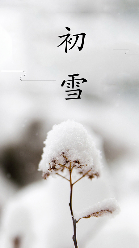二十四节气冬天立冬小雪雪枯枝