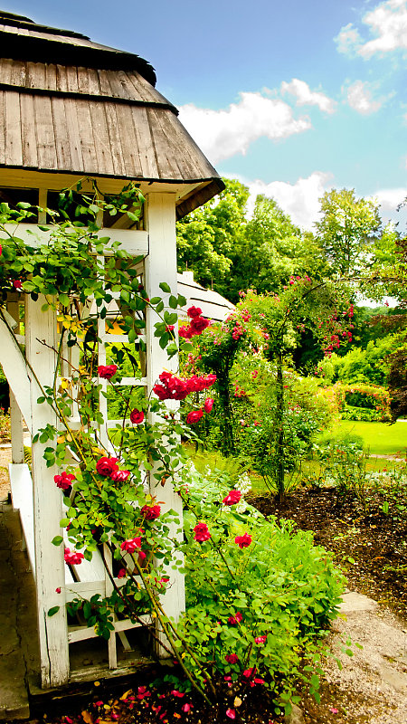 清新庭院h5背景素材