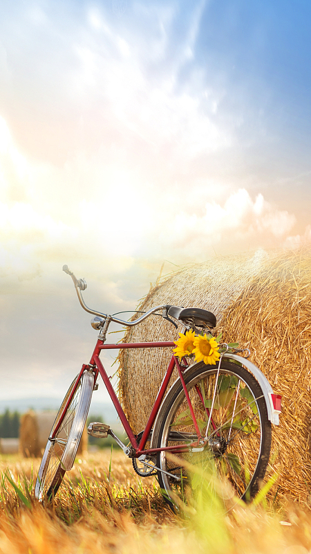 青葱岁月h5背景