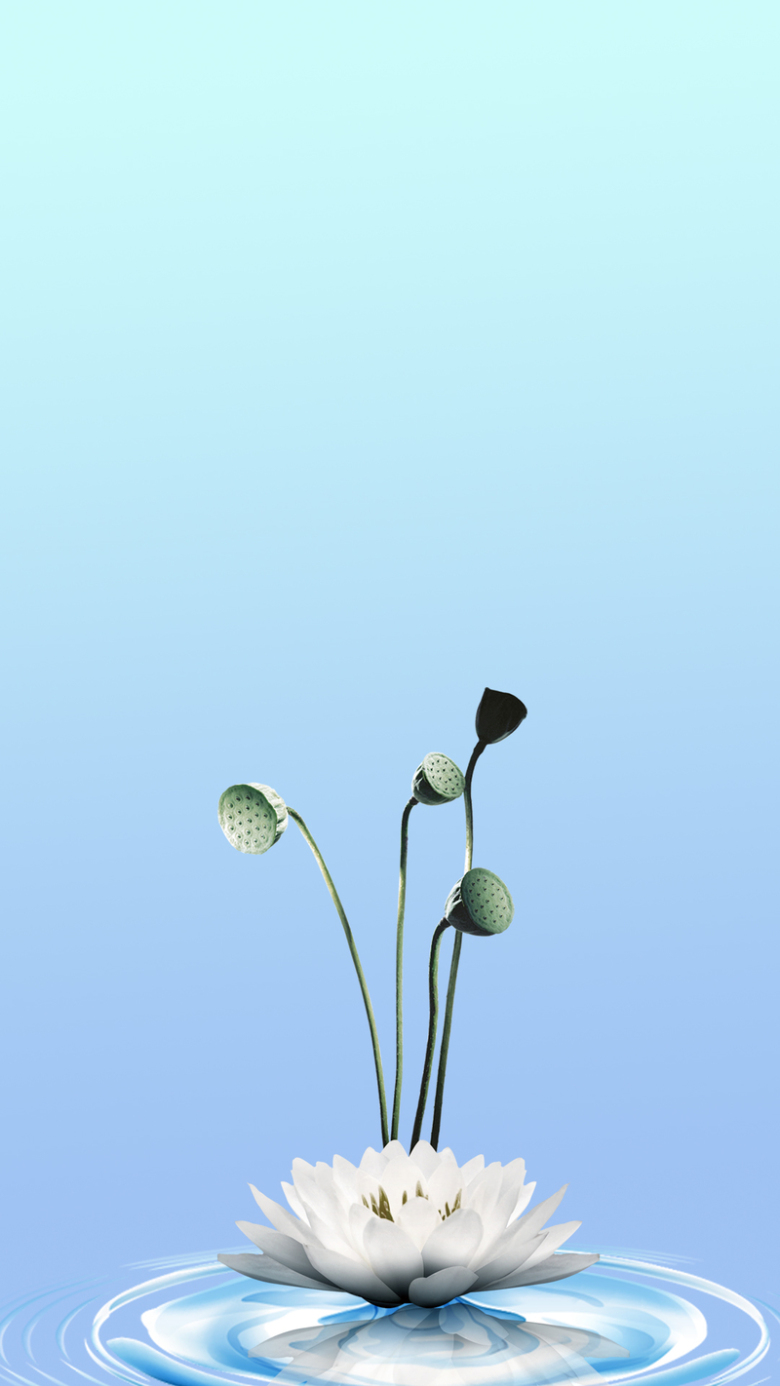 蓝色淡雅端午节莲花h5分层背景