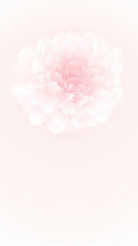 唯美牡丹花素材h5背景