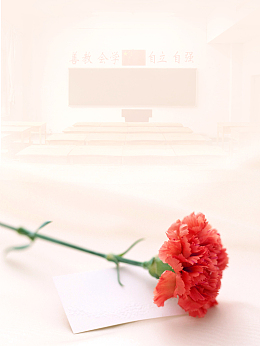 教师节礼物贺卡花朵