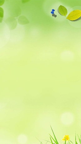 清新清爽绿色H5背景