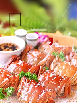 美食城正宗阳澄湖大闸蟹美食宣传