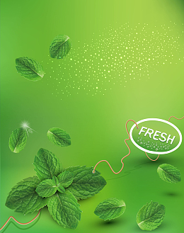 矢量清新薄荷叶背景