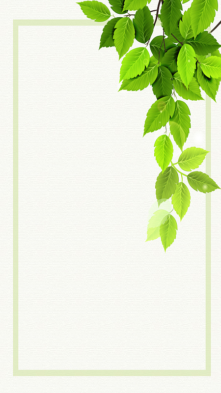 简约夏天树叶ai源文件h5背景素材免费ai免费jpg新店开业海报设计免费