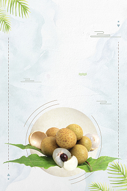 美味桂圆海报设计