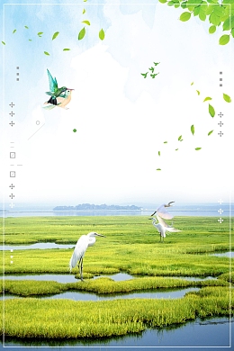 创意极简世界湿地日背景模板