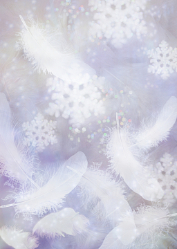 简约白色羽毛背景