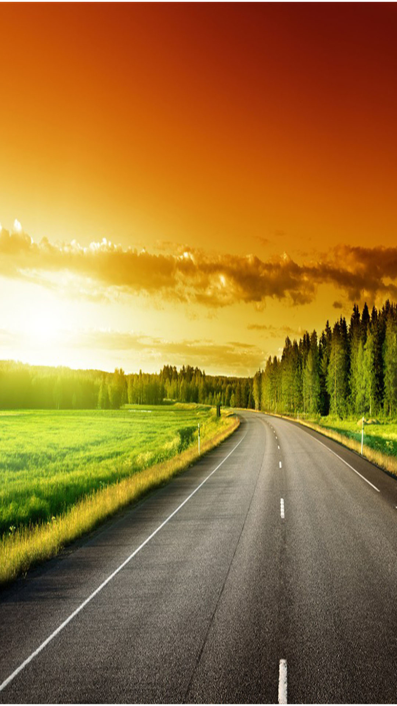 树木公路道路景色h5素材素材