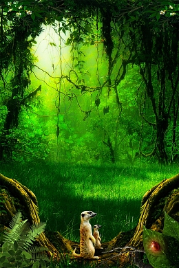 时尚唯美丛林探险