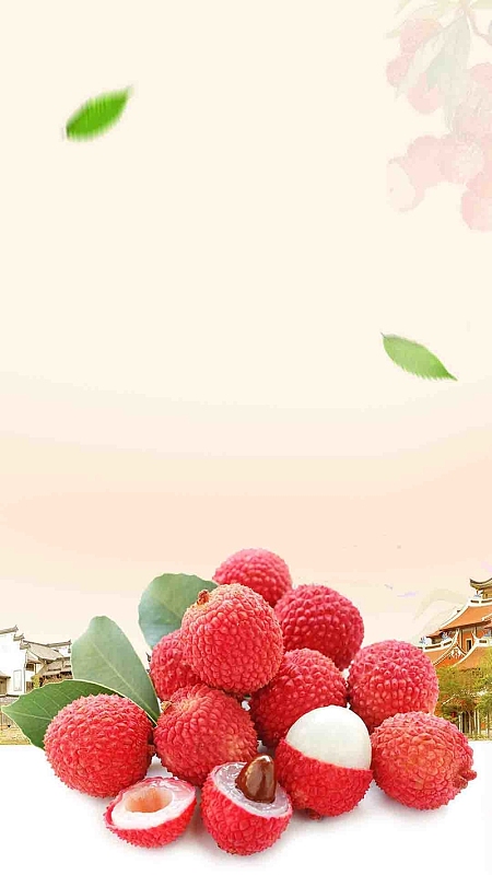 荔枝水果海报背景png手绘卡通风格矢量荔枝png手绘水彩绘画水果荔枝