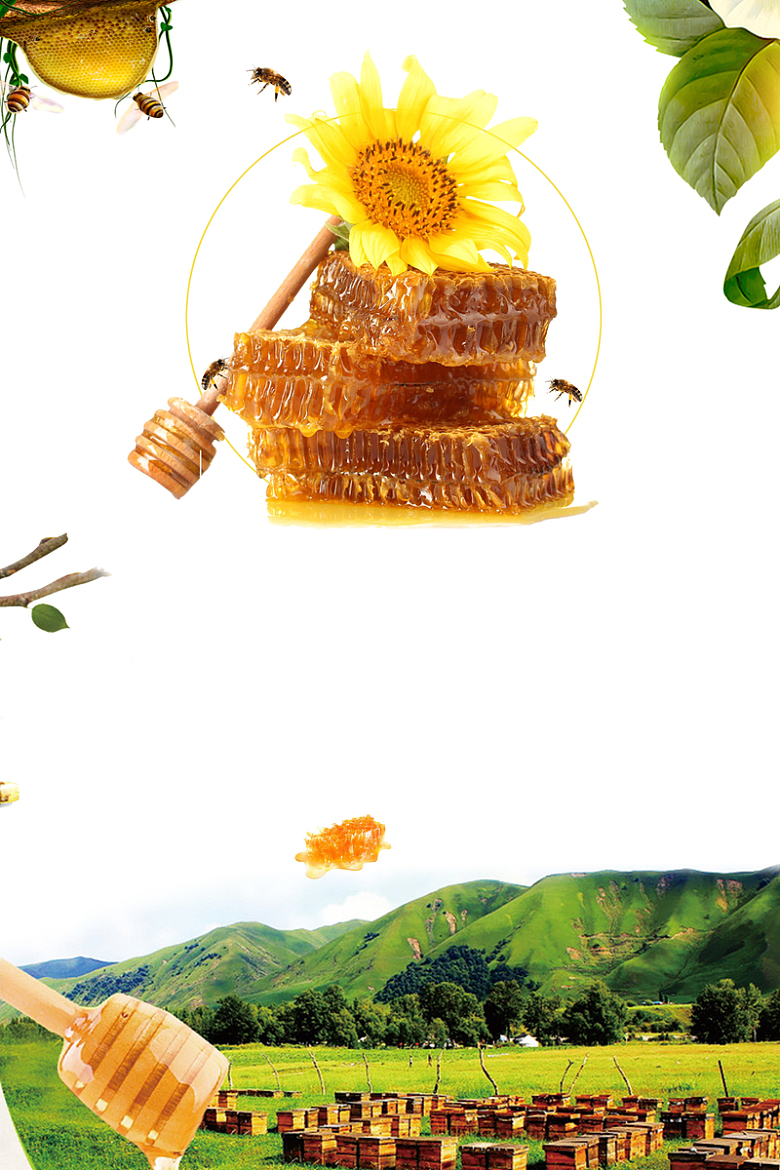 白色简约小清新纯天然蜂蜜养生海报