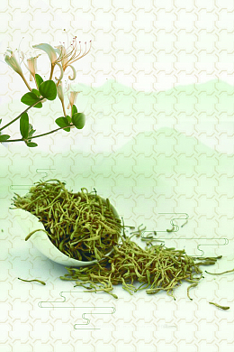清新药材金银花海报