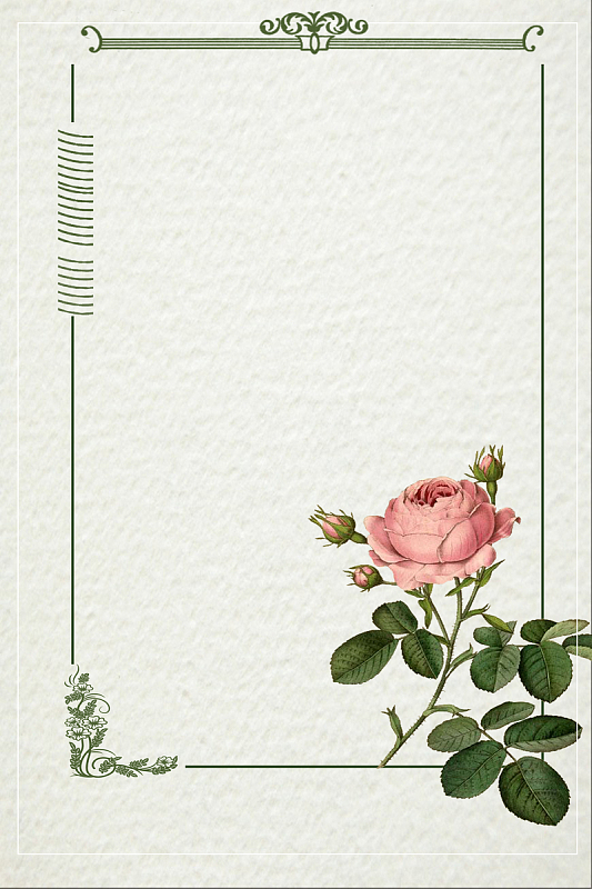 小清新简约花叶甜美背景图