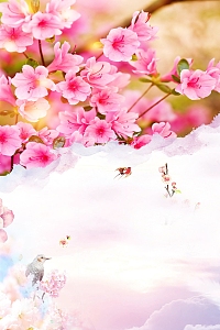 唯美杜鹃花春季赏花背景素材