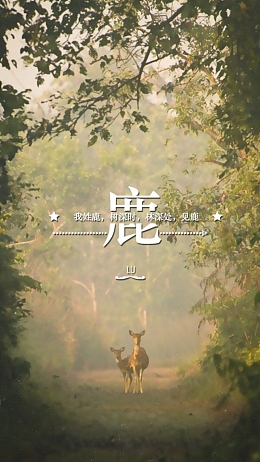 迷鹿森林H5背景