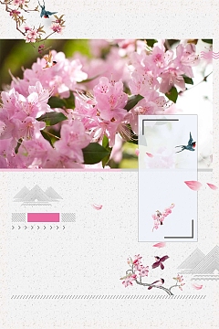 唯美春天醉美樱花节春季旅游