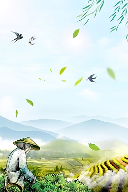 清新简约中国茶韵背景素材