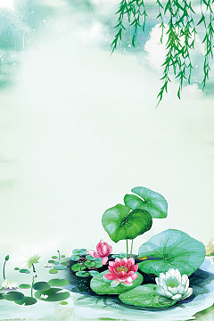 荷花荷韵海报背景