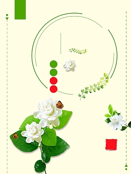 简约清新九月茉莉鲜花促销
