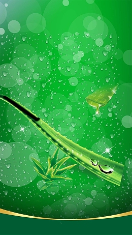 绿色小清新芦荟商业h5背景素材