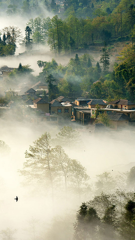 朦胧风景APP手机端H5背景