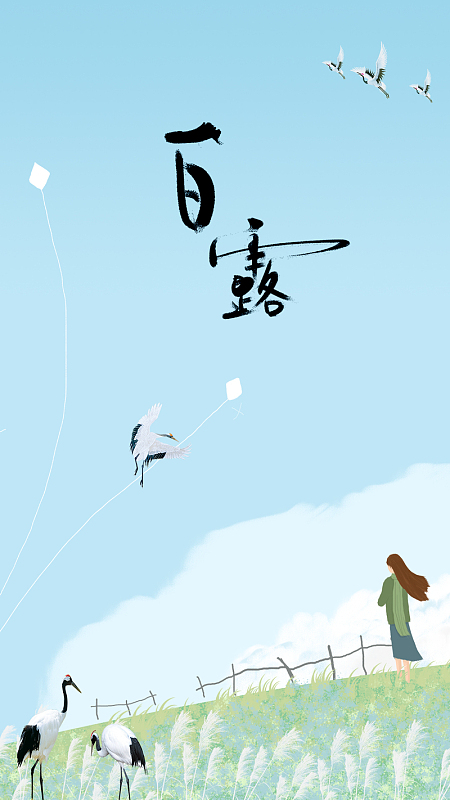 小清新插画白露节气H5
