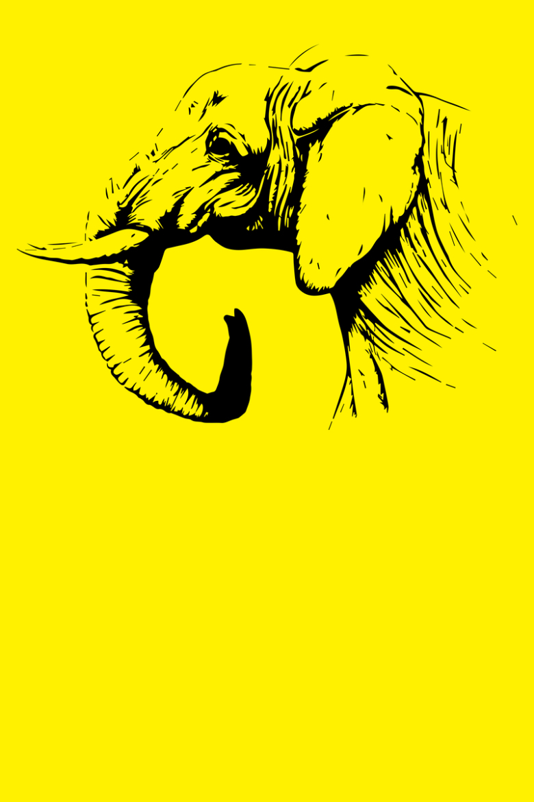 黄色底纹保护大象公益海报背景素材