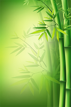 绿色清新简约端午竹子海报背景