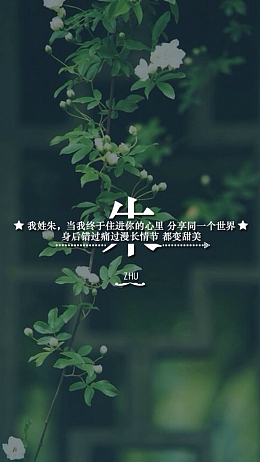 小清新绿植H5背景