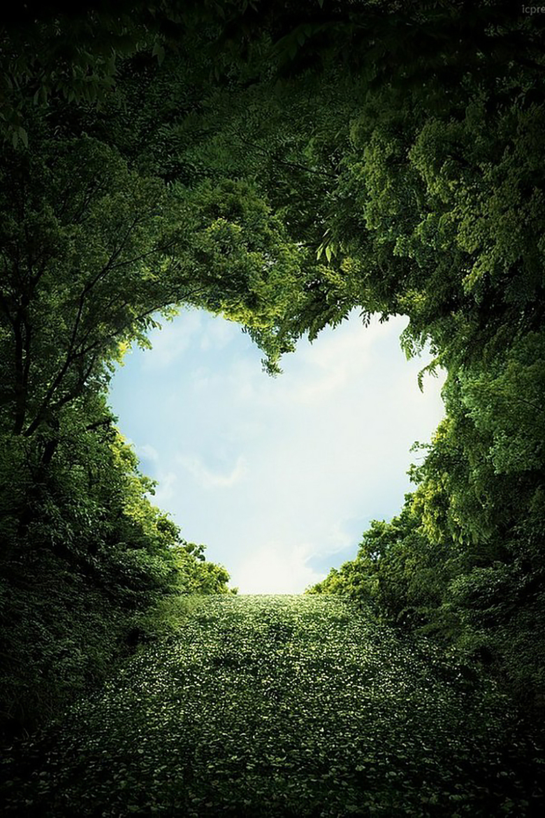 树心背景图
