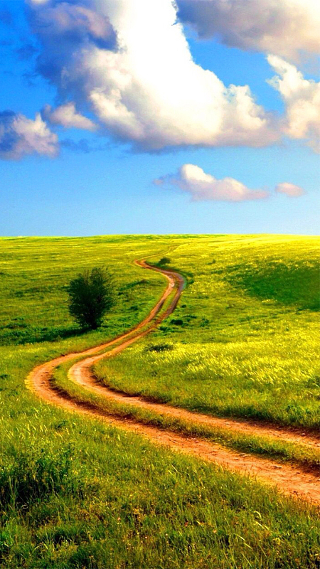 草原h5素材背景