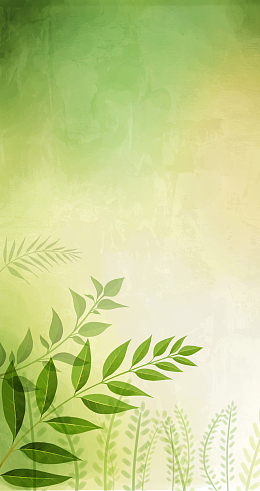 春天绿色草叶的背景图