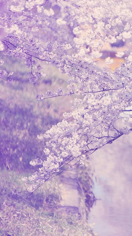 唯美浪漫情侣七夕背景图jpg淘宝背景jpg淡紫色简约水墨画水珠背景psd