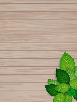 矢量木板绿叶薄荷叶美食背景