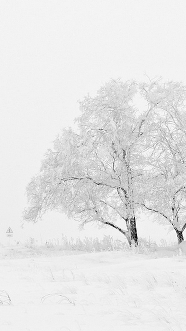 雪地里的树H5背景