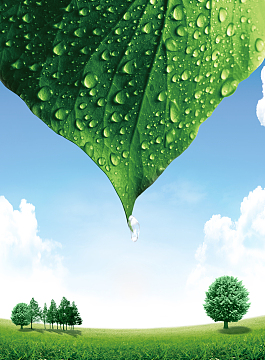 绿色有机水果菠萝背景模板psdjpg有机蔬菜质量保证背景模板psdjpg木质