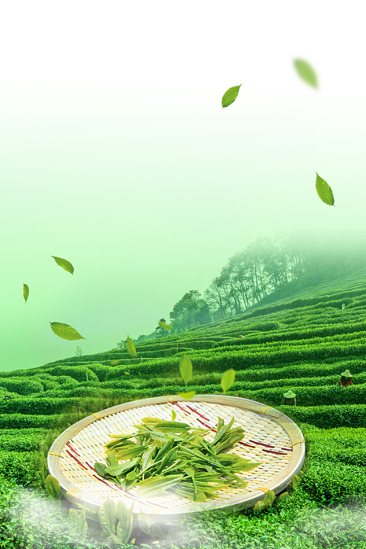 2018春茶新茶茶香四溢海报