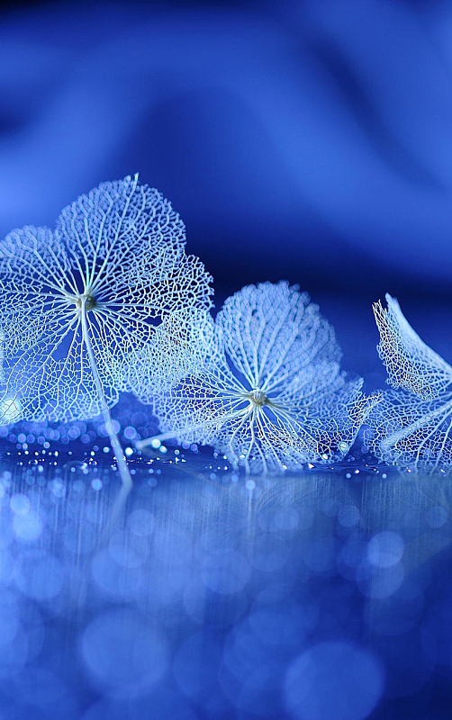 蓝色科幻h5背景