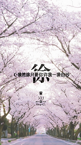 浪漫樱花道H5背景