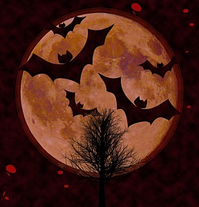 月圆的血红背景图