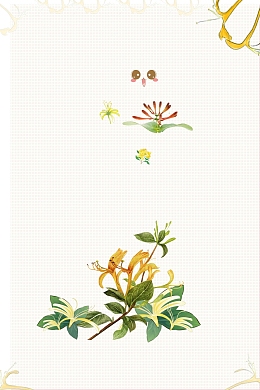 清新金银花药材花茶